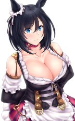 Rule 34 | 1girl, animal ears, apron, arms behind back, bad id, bad twitter id, belt, black hair, black ribbon, black shirt, blouse, blue eyes, bow, breasts, brown belt, choker, cleavage, closed mouth, collarbone, detached sleeves, dirndl, ear ribbon, eishin flash (umamusume), frilled apron, frilled skirt, frilled sleeves, frills, german clothes, hair between eyes, hiballista, highres, horse ears, horse girl, large breasts, looking at viewer, multicolored clothes, multicolored skirt, pink skirt, puffy sleeves, purple skirt, red choker, red skirt, ribbon, shirt, short hair, simple background, skirt, smile, solo, striped clothes, striped skirt, umamusume, upper body, vertical-striped clothes, vertical-striped skirt, white apron, white background