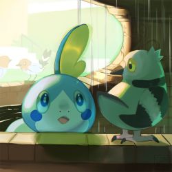 Rule 34 | :o, bird, black eyes, blue eyes, claws, conmimi, creature, creatures (company), eye contact, fletchling, game freak, gen 5 pokemon, gen 6 pokemon, gen 8 pokemon, looking at another, nintendo, no humans, pidove, pokemon, pokemon (creature), sobble, standing, yellow eyes