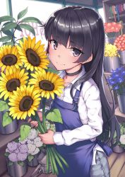 Rule 34 | 1girl, apron, bad id, bad pixiv id, black choker, black hair, blue apron, blue flower, brown eyes, choker, closed mouth, collarbone, collared shirt, commentary request, copyright request, dress shirt, earrings, flower, flower shop, grey pants, holding, holding flower, indoors, jewelry, long hair, looking at viewer, pants, red flower, ryuinu, shirt, shop, smile, solo, stud earrings, sunflower, very long hair, white shirt, window, wooden floor, yellow flower