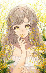 Rule 34 | 1girl, absurdres, bare shoulders, brown hair, candy, collarbone, double bun, dress, eyebrows hidden by hair, flower, food, hair bun, hand up, highres, holding, holding candy, holding food, long hair, looking at viewer, mimosa (flower), nail polish, off-shoulder dress, off shoulder, orange eyes, orange nails, original, parted lips, sogawa, solo, swept bangs, upper body, water drop, wavy hair, white background, white dress, yellow flower