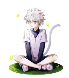 Rule 34 | 1boy, animal ear fluff, animal ears, artist request, black shirt, blouse, cat ears, cat tail, commentary request, emoji, emoticon, hair between eyes, highres, hunter x hunter, killua zoldyck, layered sleeves, long sleeves, male focus, messy hair, shirt, short hair, short over long sleeves, short sleeves, smile, solo, tail, white background, white hair