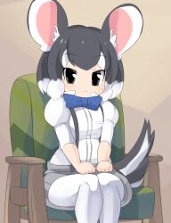 Rule 34 | 1girl, :&lt;, animal ears, armchair, blue bow, blue bowtie, blush, bow, bowtie, breasts, chair, chinchilla (kemono friends), closed mouth, commentary request, feet out of frame, grey eyes, grey hair, grey shorts, highres, juliet sleeves, kemono friends, lets0020, long sleeves, looking at viewer, medium bangs, mouse ears, mouse girl, mouse tail, pantyhose, puffy sleeves, shirt, short hair, shorts, sitting, small breasts, smile, solo, suspender shorts, suspenders, tail, white hair, white pantyhose, white shirt