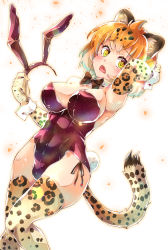 Rule 34 | 1girl, animal ears, arm up, bare shoulders, blonde hair, blush, bow, bowtie, breasts, cleavage, detached collar, elbow gloves, fake animal ears, fang, gloves, highres, imu sanjo, jaguar (kemono friends), jaguar ears, jaguar print, jaguar tail, kemono friends, large breasts, leotard, looking at viewer, multicolored hair, open mouth, playboy bunny, rabbit ears, rabbit tail, red leotard, short hair, side-tie leotard, solo, strapless, strapless leotard, tail, thighhighs, wrist cuffs, yellow eyes