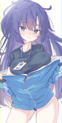 Rule 34 | 1girl, absurdres, black shirt, blue archive, blue jacket, blush, breasts, cowboy shot, facial mark, haru haruru515, highres, holding, holding clothes, holding jacket, jacket, jacket partially removed, lanyard, long hair, looking at viewer, medium breasts, partially unzipped, purple eyes, purple hair, shirt, simple background, smile, solo, star (symbol), sweatdrop, sweaty clothes, very long hair, white background, yuuka (blue archive), yuuka (track) (blue archive)