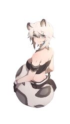 Rule 34 | 1girl, absurdres, animal ears, arknights, armband, bandeau, bare shoulders, breasts, cliffheart (arknights), commentary, grey eyes, hair between eyes, highres, if f, large breasts, leopard ears, leopard tail, looking at viewer, midriff, no headwear, short hair, simple background, smile, solo, strapless, tail, tube top, white background, white hair