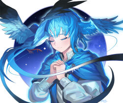 Rule 34 | 1girl, animal, artist name, bird, bird wings, blue bird, blue capelet, blue hair, blue outline, blue sky, capelet, closed eyes, collared dress, colored eyelashes, commentary, dress, english commentary, feathered wings, final fantasy, final fantasy xiv, forehead-to-forehead, hands up, head wings, heads together, highres, long sleeves, meteion, outline, own hands together, short hair, signature, sky, smile, solo, star (sky), starry sky, upper body, white background, white dress, wings, zerg (z79438659)