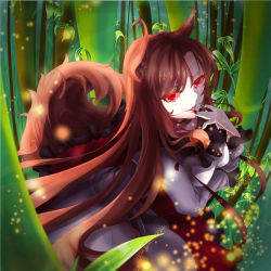 Rule 34 | 1girl, animal ears, bamboo, bamboo forest, breast rest, breasts, brooch, brown hair, dress, licking finger, fingernails, fisheye, forest, glowing, glowing eyes, imaizumi kagerou, jewelry, leaf, licking, light particles, long fingernails, long hair, looking at viewer, mizurapi, nature, pale skin, parted lips, red eyes, shawl, solo, tail, touhou, wolf ears, wolf tail