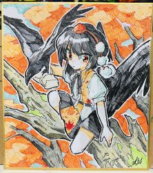 Rule 34 | 1girl, animal on arm, bird, bird on arm, bird wings, black hair, black skirt, black wings, closed mouth, crow, day, doggo 1d34, falconry glove, feathered wings, full body, hat, hatching (texture), highres, leaf print, looking at viewer, medium hair, on tree, outdoors, outline, pom pom (clothes), red eyes, red hat, shameimaru aya, shikishi, shirt, short sleeves, signature, skirt, solo, squatting, tokin hat, touhou, traditional media, white outline, white shirt, wings