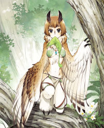 Rule 34 | 1girl, bad id, bad pixiv id, black eyes, brown hair, claws, commentary request, creature, day, feathered wings, flower, forest, fur collar, harpy, highres, jewelry, leaf, looking at viewer, monster girl, mouth hold, nature, neck fur, necklace, outdoors, owl girl, pelvic curtain, pixiv fantasia, pixiv fantasia new world, short hair, solo, tree, ttk (ehohmaki), winged arms, wings, x x