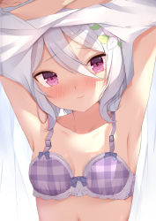 Rule 34 | 1girl, armpits, arms up, bad id, bad pixiv id, bare shoulders, blush, bow, bow bra, bra, closed mouth, collarbone, commentary request, flower, grey hair, hair between eyes, hair flower, hair ornament, head tilt, highres, kokkoro (princess connect!), looking at viewer, navel, plaid, plaid bra, princess connect!, purple bra, purple eyes, raru0310, solo, underwear, undressing, wavy mouth, white flower