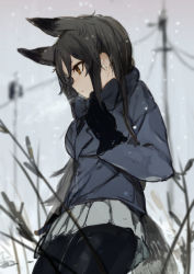 Rule 34 | 10s, 1girl, absurdres, animal ears, black gloves, black hair, black necktie, black pantyhose, blurry, bow, cowboy shot, day, depth of field, fox ears, fox tail, from side, gloves, grass, grey sky, highres, jacket, kemono friends, long hair, looking away, necktie, outdoors, pantyhose, pleated, pleated skirt, sidelocks, silver fox (kemono friends), skirt, sky, snow, snowing, solo, standing, tail, winter, wire, yellow eyes