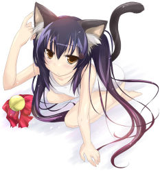 Rule 34 | 00s, 1girl, animal ears, barefoot, cat ears, cat girl, cat tail, female focus, full body, k-on!, long hair, nakano azusa, one-piece swimsuit, school swimsuit, solo, swimsuit, tail, third-party edit, twintails, white school swimsuit, white one-piece swimsuit, yumesato makura