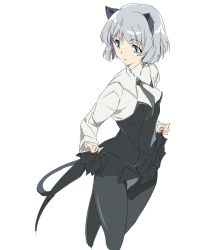 Rule 34 | 1girl, animal ears, black pantyhose, black skirt, cat ears, cat tail, clothes lift, grey hair, lifted by self, looking to the side, panties, panties under pantyhose, pantyhose, sanya v. litvyak, short hair, simple background, skirt, skirt lift, solo, strike witches, tail, umanosuke, underwear, white background, white panties, world witches series