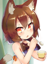 Rule 34 | animal ear fluff, animal ears, bare arms, bare shoulders, blush, breasts, brown hair, cat ears, cat girl, cat tail, chestnut mouth, child, crr w9kd, eating, fang, food, frilled bikini top, frills, gradient eyes, hair between eyes, midriff, multicolored eyes, orange eyes, pudding, short twintails, small breasts, spoon, tail, twintails