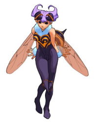 Rule 34 | 1girl, antennae, arthropod girl, bee, bee girl, black eyes, bug, capcom, female focus, full body, insect, insect girl, lowres, monster girl, purple hair, q-bee, simple background, solid eyes, solo, vampire (game), white background, wings