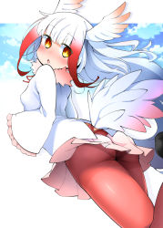 Rule 34 | 10s, 1girl, :o, ass, bird tail, blue sky, blunt bangs, blush, breasts, cloud, frills, fur trim, hayashi (l8poushou), head wings, highres, japanese crested ibis (kemono friends), jitome, kemono friends, long sleeves, looking back, open mouth, orange eyes, red legwear, short hair with long locks, sideboob, simple background, skirt, sky, small breasts, solo, tail, upskirt, white background, white hair, wide sleeves, wings