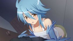 Rule 34 | 1girl, ahoge, artist request, bare shoulders, blue hair, blue wings, blush, breasts, clothes grab, feathered wings, feathers, game cg, harpy, midriff, monster girl, monster musume no iru nichijou, monster musume no iru nichijou online, official art, open mouth, papi (monster musume), pov, sleeve grab, small breasts, solo focus, sweatdrop, tank top, white tank top, winged arms, wings, yellow eyes