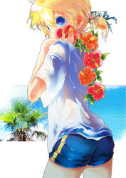 Rule 34 | 1boy, blonde hair, blue eyes, flower, from behind, hibiscus, kagamine len, male focus, ponytail, short hair, shorts, solo, vocaloid, wet