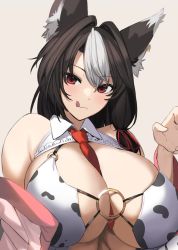 Rule 34 | 1girl, animal ear fluff, animal print, black hair, breasts, cleavage, closed mouth, commission, cow print, detached collar, ganesagi, huge breasts, looking at viewer, multicolored hair, necktie, o-ring, original, red eyes, red necktie, simple background, skeb commission, solo, streaked hair, tongue, tongue out, upper body, white background, white hair