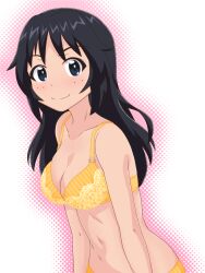 Rule 34 | 1girl, absurdres, black hair, blue eyes, blush, bra, breasts, closed mouth, girls und panzer, gogopaint, highres, large breasts, long hair, looking at viewer, navel, panties, smile, solo, underwear, underwear only, yamagou ayumi, yellow bra, yellow panties
