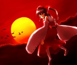 Rule 34 | 1girl, any (artist), any (lucky denver mint), back, bad id, bad pixiv id, bird, bow, detached sleeves, female focus, flying, hair bow, hakurei reimu, highres, japanese clothes, looking at viewer, looking back, miko, ponytail, red sky, red theme, ribbon, sky, solo, sunset, touhou, wide sleeves