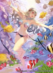 Rule 34 | 1girl, armpits, bare shoulders, barefoot, bikini, bracelet, breasts, collarbone, corrin (female) (fire emblem), corrin (fire emblem), fire emblem, fire emblem cipher, fire emblem fates, fish, grey hair, hair between eyes, hairband, jewelry, long hair, mayo (becky2006), medium breasts, navel, nintendo, official art, open mouth, outstretched arms, pointy ears, red eyes, shell, shell bikini, sideboob, smile, solo, swimsuit, underwater, wavy mouth