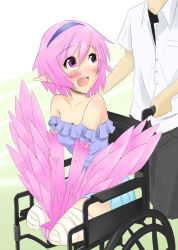 Rule 34 | 1boy, 1girl, :d, amputee, artist request, bandages, bare shoulders, blush, breasts, double amputee, drawfag, feathered wings, floating, flying, hairband, harpy, headband, hetero, looking at another, medium breasts, monster girl, open mouth, original, pink hair, pointy ears, purple eyes, shorts, smile, solo focus, wheelchair, winged arms, wings