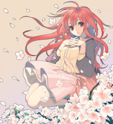 Rule 34 | 1girl, ahoge, album cover, bad id, bad pixiv id, cherry blossoms, cover, dress, flower, own hands clasped, kimura daisuke, long hair, own hands together, petals, red eyes, red hair, skirt, solo