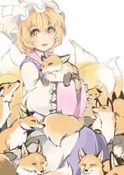 Rule 34 | 1girl, animal, animal ears, animal hat, blonde hair, blush, dress, fox, fox ears, fox tail, hat, highres, japa, long sleeves, looking at viewer, mob cap, multiple tails, open mouth, orange eyes, mob cap, short hair, simple background, smile, solo, tabard, tail, too many, touhou, white background, white dress, wide sleeves, yakumo ran