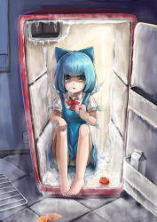 Rule 34 | 1girl, absurdres, barefoot, blue eyes, blue hair, cirno, doughnut, dress, eating, feet, food, freezer, fuuko chan, grate, highres, ice, icicle, in container, in refrigerator, looking at viewer, matching hair/eyes, milk carton, neck ribbon, open mouth, panties, pantyshot, refrigerator, ribbon, short hair, short sleeves, sitting, solo, striped clothes, striped panties, tile floor, tiles, tomato, touhou, underwear