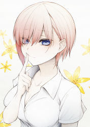 Rule 34 | 1girl, blue eyes, blush, breasts, cleavage, closed mouth, cluseller, collarbone, colored skin, eyes visible through hair, female focus, floral background, flower, go-toubun no hanayome, gradient background, gradient hair, hand up, highres, index finger raised, large breasts, looking at viewer, multicolored hair, muted color, nakano ichika, pink hair, shirt, short hair, short sleeves, smile, solo, upper body, white background, white shirt, white skin, yellow flower