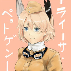 Rule 34 | 1girl, animal ears, bad id, bad pixiv id, goggles, hat, head wings, mocco (mocco san1), raisa pottgen, solo, strike witches, wings, witches of africa, world witches series