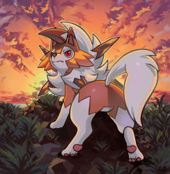 Rule 34 | cloud, cloudy sky, commentary, creatures (company), english commentary, game freak, gen 7 pokemon, grass, highres, horizon, lycanroc, lycanroc (dusk), nintendo, no humans, outdoors, pinkgermy, pokemon, pokemon (creature), red eyes, sky, solo, sunset, tail