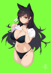 Rule 34 | 1girl, absurdres, animal ears, atago (azur lane), azur lane, bikini, black bikini, black choker, black hair, breasts, choker, extra ears, green background, hair behind ear, highres, large breasts, long hair, looking at viewer, nagi-kaze, shirt, short sleeves, simple background, solo, swimsuit, white shirt