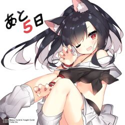 Rule 34 | 1girl, animal ear fluff, animal ears, azur lane, black hair, black shirt, claw pose, countdown illustration, fang, hand up, leg warmers, long hair, looking at viewer, official art, one eye closed, open mouth, pleated skirt, red eyes, red nails, saru, shigure (azur lane), shirt, simple background, skin fang, skirt, smile, solo, tied shirt, white background, white skirt