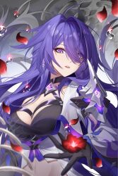 Rule 34 | 1girl, acheron (honkai: star rail), black choker, black gloves, breasts, choker, cleavage, flower, gloves, hair over one eye, highres, holding, holding flower, honkai: star rail, honkai (series), large breasts, libero art, long hair, looking at viewer, navel, open mouth, purple eyes, purple hair, red flower, shorts, solo, stomach, upper body, very long hair