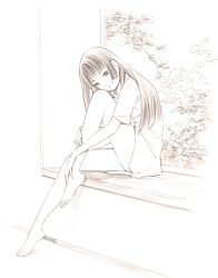 Rule 34 | 1girl, barefoot, dress shirt, feet, long hair, monochrome, original, shirt, sketch, solo, toes, traditional media, yoshitomi akihito