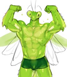Rule 34 | 1boy, 1kogito1, abs, absurdres, arthropod boy, bara, boxer briefs, bulge, double biceps pose, flexing, green male underwear, green scales, highres, insect wings, looking at viewer, male focus, male underwear, mantis boy, monster boy, muscular, muscular male, navel, nipples, original, solo, sparkling aura, stomach, topless male, underwear, wings