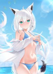 Rule 34 | 1girl, :/, absurdres, ahoge, animal ear fluff, animal ears, aqua eyes, bare shoulders, bikini, blue bikini, blue sky, blush, braid, breasts, cloud, cloudy sky, cowboy shot, dot nose, floating hair, fox ears, fox girl, fox tail, hair between eyes, halterneck, highres, hololive, long hair, long sleeves, looking at viewer, miaohik, off shoulder, open clothes, open shirt, outdoors, own hands together, revision, shirakami fubuki, shirakami fubuki (hololive summer 2019), shirt, side-tie bikini bottom, sky, small breasts, solo, standing, star (symbol), stomach, string bikini, sunlight, swimsuit, tail, thighs, virtual youtuber, water, white hair, white shirt