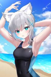 Rule 34 | 1girl, absurdres, adjusting hair, animal ears, aoitsuki, arm behind head, armpits, arms up, beach, blue archive, blue eyes, blue one-piece swimsuit, blue sky, breasts, cloud, cloudy sky, commentary, competition swimsuit, covered navel, cross hair ornament, day, extra ears, grey hair, hair ornament, halo, highres, horizon, looking at viewer, medium breasts, medium hair, mismatched pupils, ocean, one-piece swimsuit, open mouth, original, outdoors, shiroko (blue archive), sky, solo, swimsuit, upper body, wolf ears