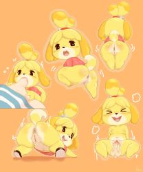Rule 34 | &gt; &lt;, 1boy, 1girl, 2021, absurdres, animal crossing, animal ears, animal nose, anus, artist logo, ass, bell, black eyes, blonde hair, blush, blush stickers, breasts, cleft of venus, closed eyes, collarbone, dated, disembodied penis, dog ears, dog girl, dog tail, fellatio, full body, furry, furry female, furry with non-furry, hair bell, hair ornament, highres, interspecies, isabelle (animal crossing), jingle bell, leaf print, looking back, medium breasts, motion lines, navel, nintendo, nipples, nude, open mouth, oral, orange background, outline, penis, presenting, pussy, pussy juice, sake kemosalmon, sex, shiny skin, shirt, short sleeves, smile, solo focus, spread legs, tail, teeth, testicles, thick thighs, thighs, tongue, top-down bottom-up, topknot, uncensored, upper teeth only, vaginal