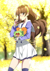 Rule 34 | 1girl, amanogawa kirara, autumn, bag, blush, brown hair, doughnut, eating, food, food in mouth, from side, go! princess precure, hairband, holding, holding bag, long hair, long sleeves, looking at viewer, nakahira guy, precure, puffy long sleeves, puffy sleeves, purple eyes, school uniform, skirt, solo, star (symbol), twintails