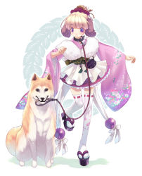 Rule 34 | 1girl, animal ears, dog, dog ears, hirano katsuyuki, japanese clothes, kimono, kimono skirt, leash, okobo, role reversal, sandals, shiba inu, solo, tabi, thighhighs, zettai ryouiki