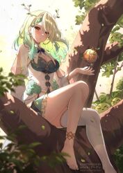 Rule 34 | 1girl, apple, ardenlolo, barefoot, blush, breasts, ceres fauna, ceres fauna (1st costume), cleavage, cleavage cutout, clothing cutout, dress, feet, flower, food, fruit, golden apple, green dress, green hair, hair flower, hair ornament, hololive, hololive english, in tree, large breasts, long hair, looking at viewer, mole, mole under eye, on tree, single thighhigh, sitting, sitting in tree, solo, thighhighs, tree, virtual youtuber, white thighhighs, yellow eyes