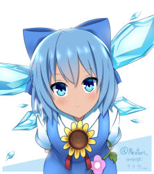 Rule 34 | 1girl, :3, akatori (redbird), arms behind back, bad id, bad pixiv id, bent over, blue eyes, blue hair, cirno, dated, flower, hair ribbon, highres, plant, ribbon, smile, solo, sunflower, tanned cirno, touhou, twitter username, vineas