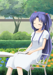 Rule 34 | 00s, 1girl, blue hair, book, chair, clannad, closed eyes, flower, hair bobbles, hair ornament, highres, ichinose kotomi, long hair, shizupu, sitting, sleeping, table, twintails, two side up