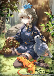 Rule 34 | 1girl, animal, bird, black footwear, blue jacket, blue shirt, blue skirt, braid, breasts, closed mouth, copyright request, day, fairy, fire, flame-tipped tail, forest, golem, grey eyes, grey hair, grey thighhighs, heart, heart-shaped pupils, jacket, jacket on shoulders, korean text, long sleeves, menna (0012), nature, on head, outdoors, pleated skirt, shaded face, shirt, shoes, sitting, skirt, small breasts, smile, solo, symbol-shaped pupils, thick eyebrows, thighhighs, translation request, tree, wariza