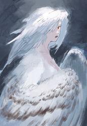 Rule 34 | 1girl, breasts, cleavage, feathered wings, hair over one eye, harpy, head wings, hecatum, highres, looking at viewer, medium breasts, monster girl, open mouth, original, red eyes, solo, twitter username, white wings, winged arms, wings