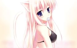 Rule 34 | 1girl, animal ears, bikini, black bikini, cat ears, cat tail, condom, condom in mouth, condom wrapper, highres, mouth hold, pink hair, solo, swimsuit, tail, wallpaper