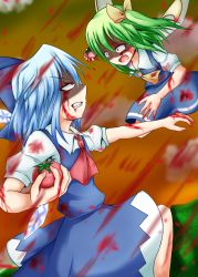 Rule 34 | 2girls, ascot, battle, blue hair, cirno, clenched teeth, d:, daiyousei, dress, dripping, green hair, highres, juice, lunging, multiple girls, nogiguchi, open mouth, short hair, side ponytail, stained clothes, teeth, tomato, tomato juice, touhou